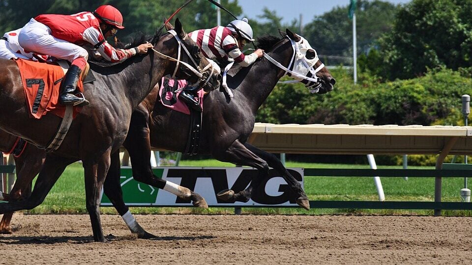 Horses racing down the stretch at Monmouth Park, Oceanport, New Jersey.