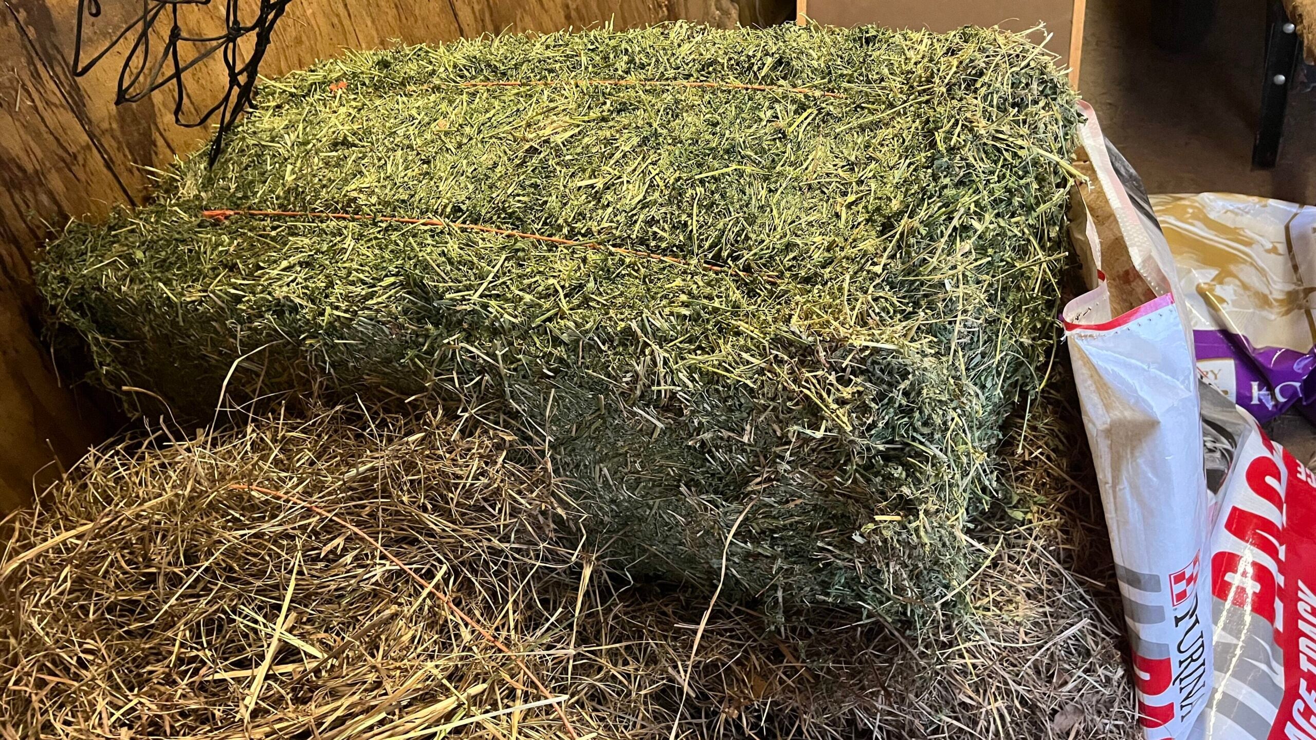 Alfalfa hay bale used in equine diets to prevent and manage gastric ulcers in horses — natural calcium buffer