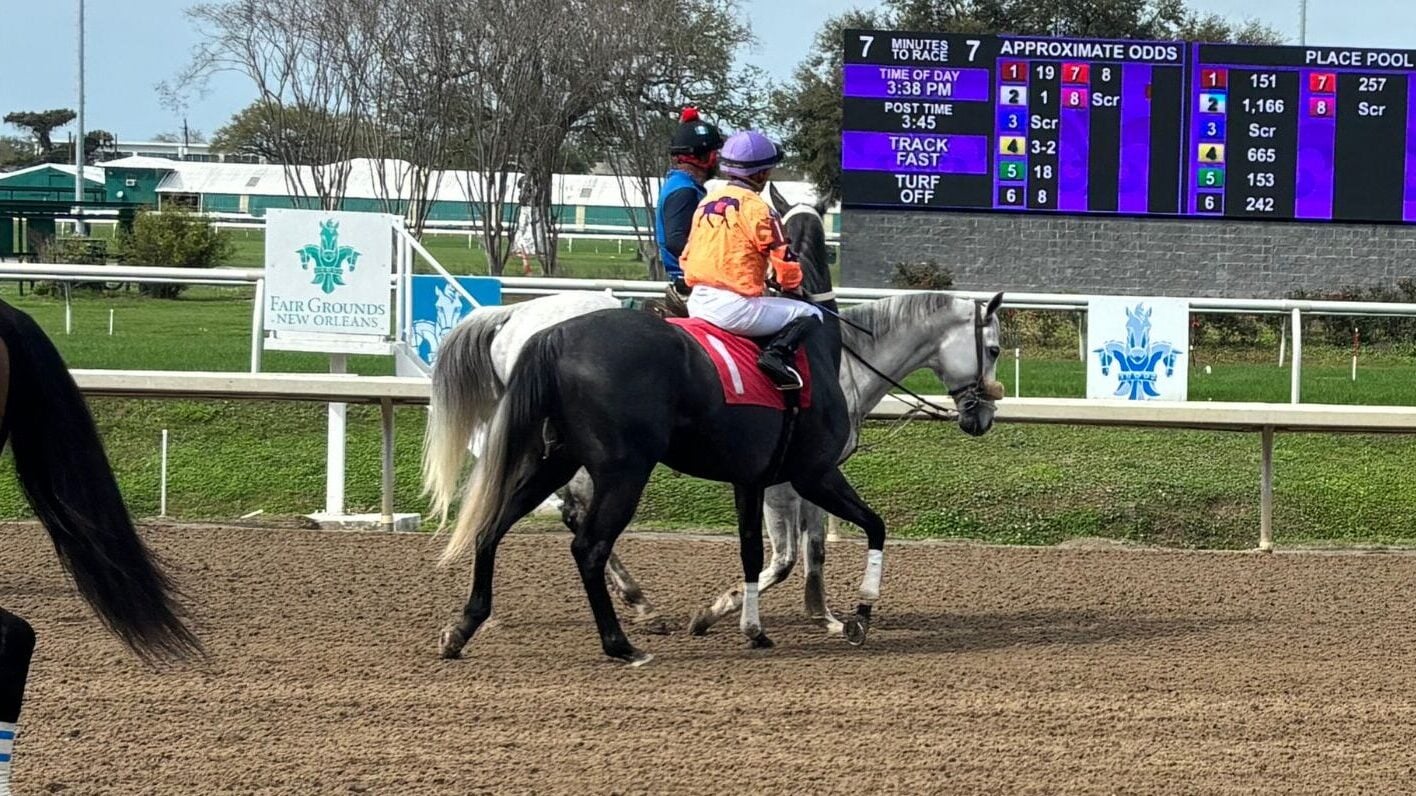 Jockey riding my horse to the starting gates at the fairgrounds. She uses this time to settle the horse. 