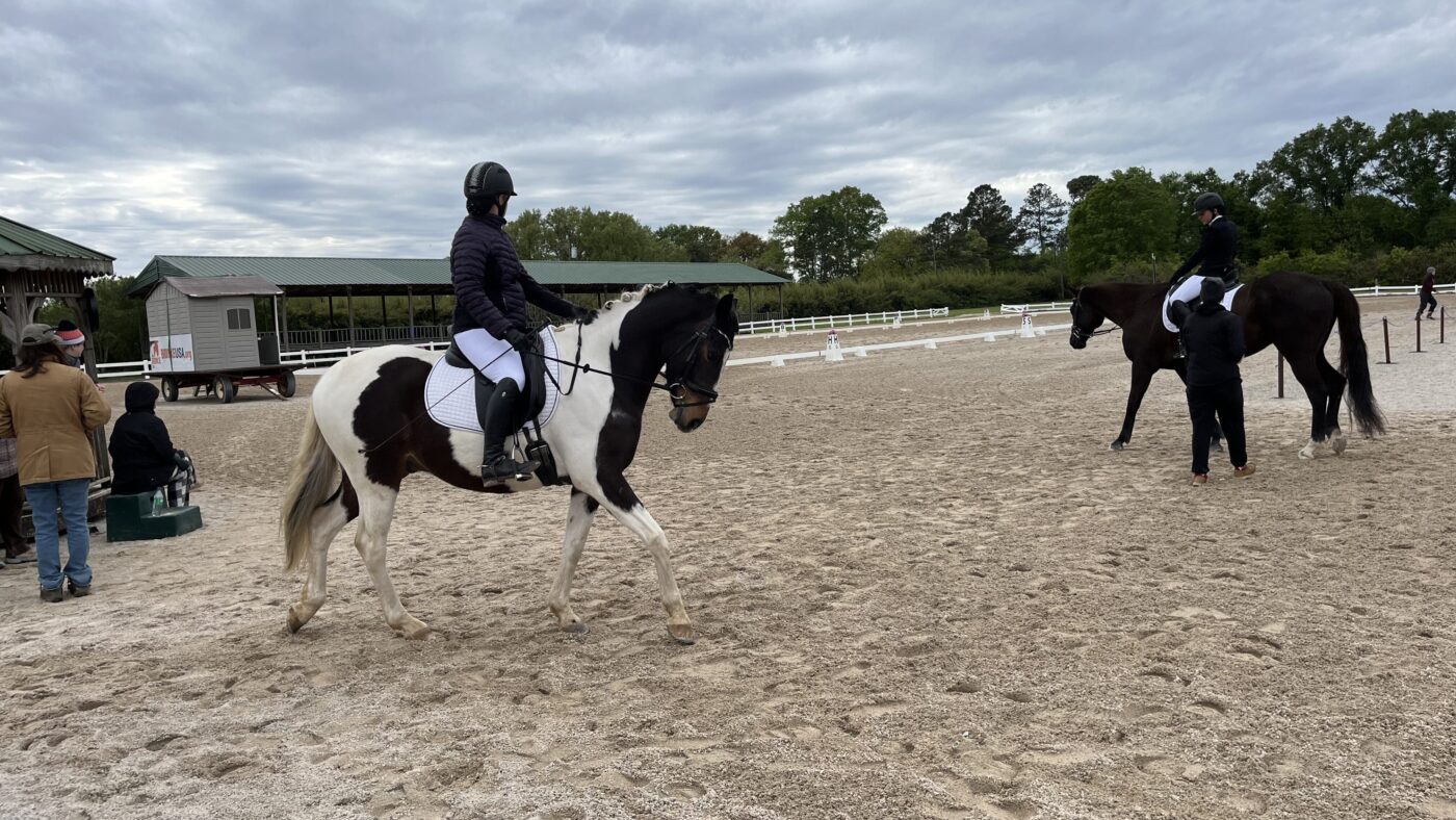 Horse with ears forward during dressage competition