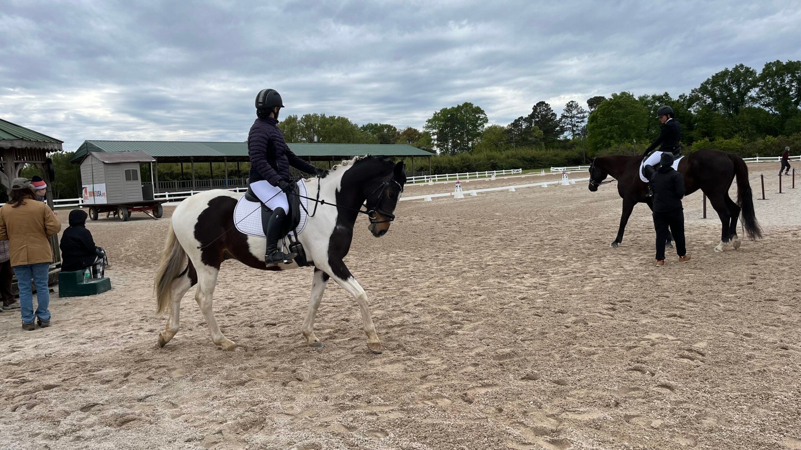 Horse and rider competing at a dressage show in Folsom, Louisiana