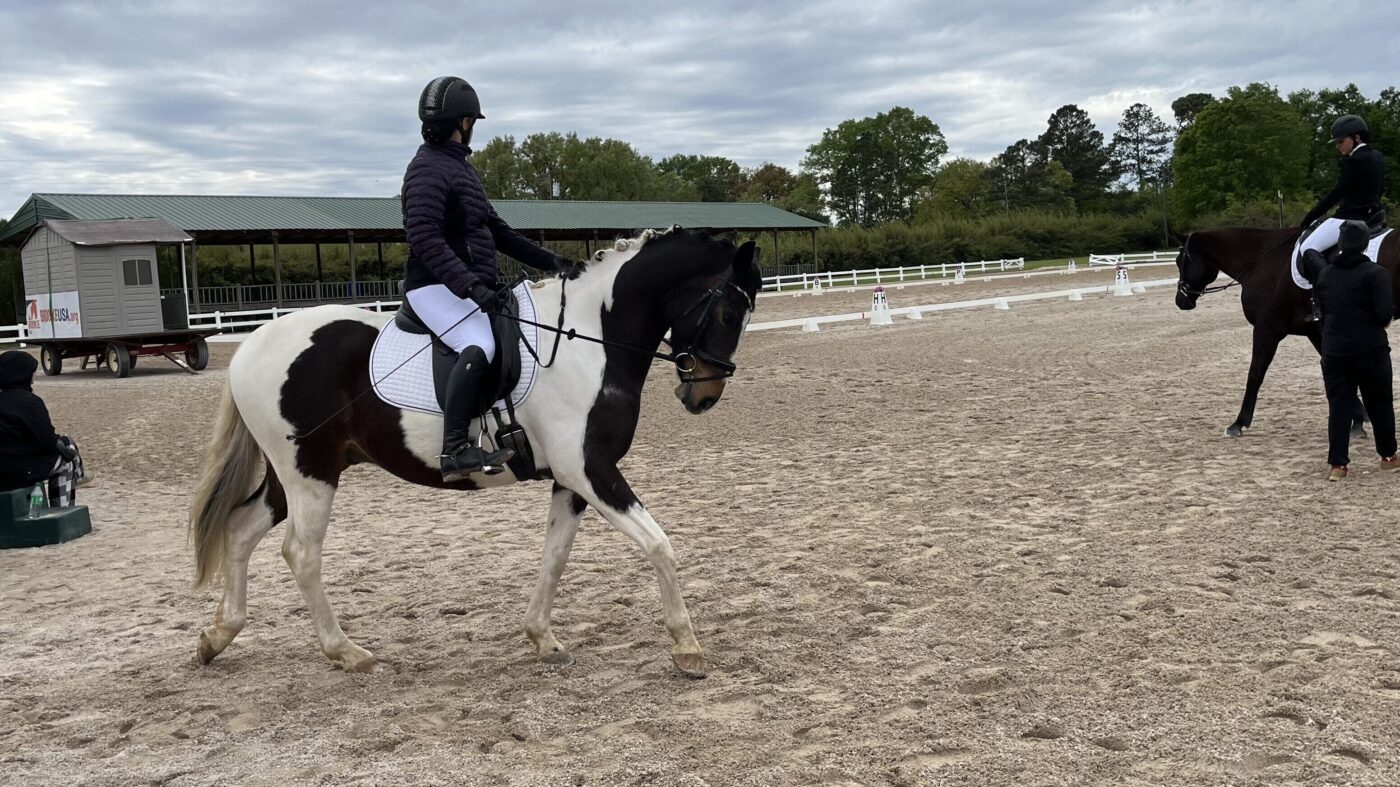 Dressage training for beginners shown by a rider competing on a Paint horse at the Folsom, Louisiana dressage competition