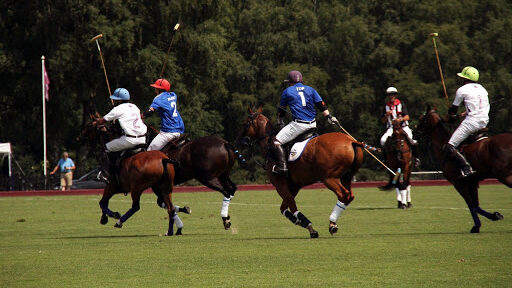 International polo match. 