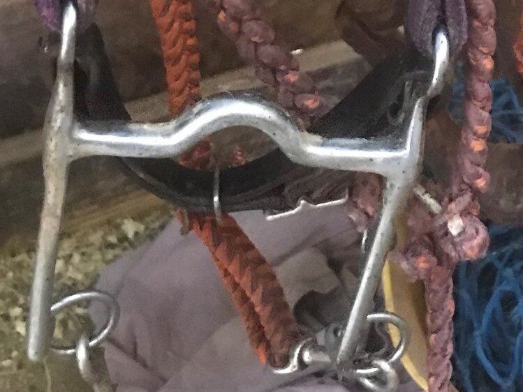 Western curb bit with shanks
