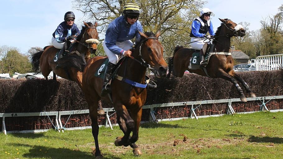 Horses racing in the Grand National