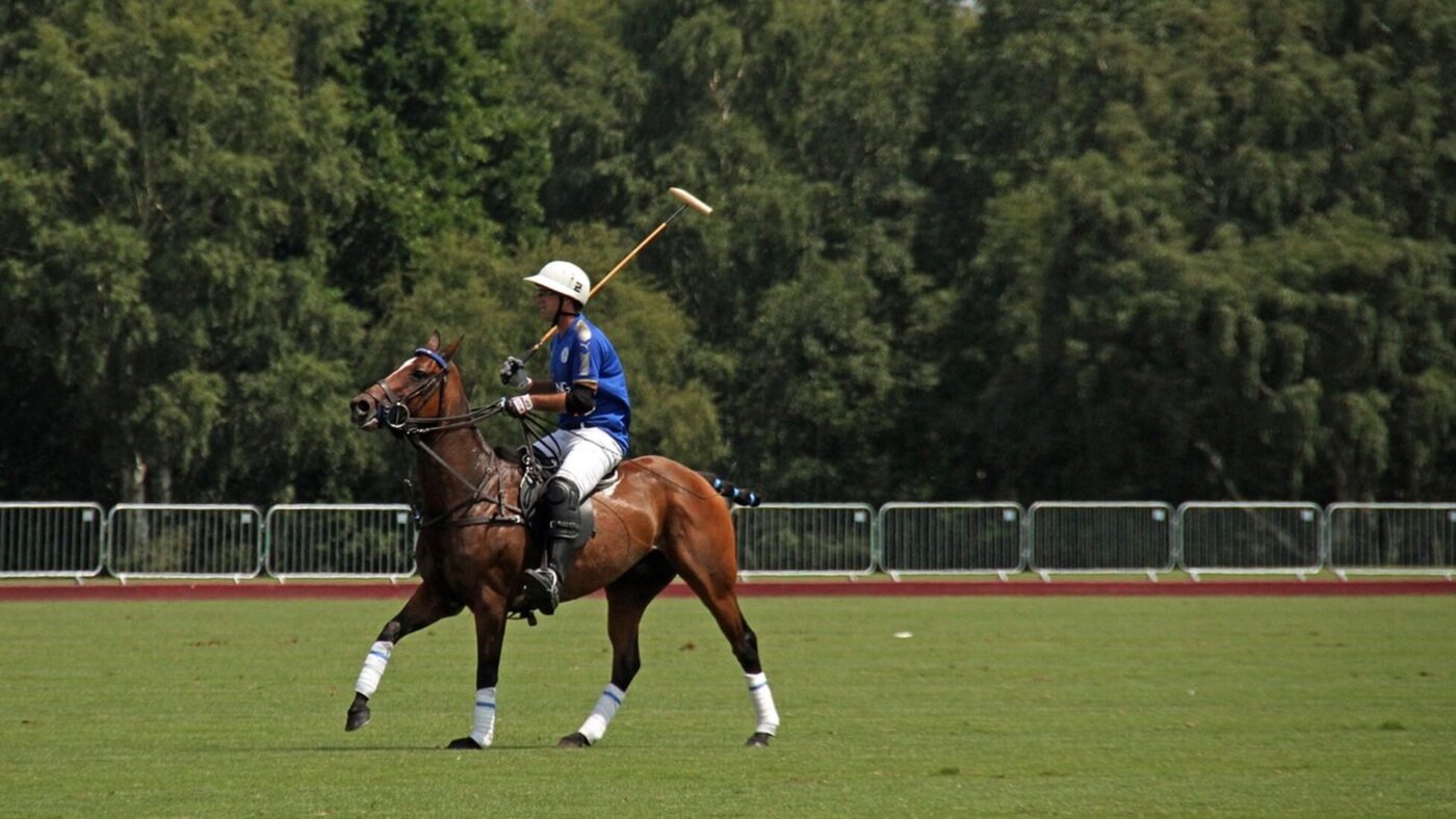 Polo player on horseback on a large grass polo field
