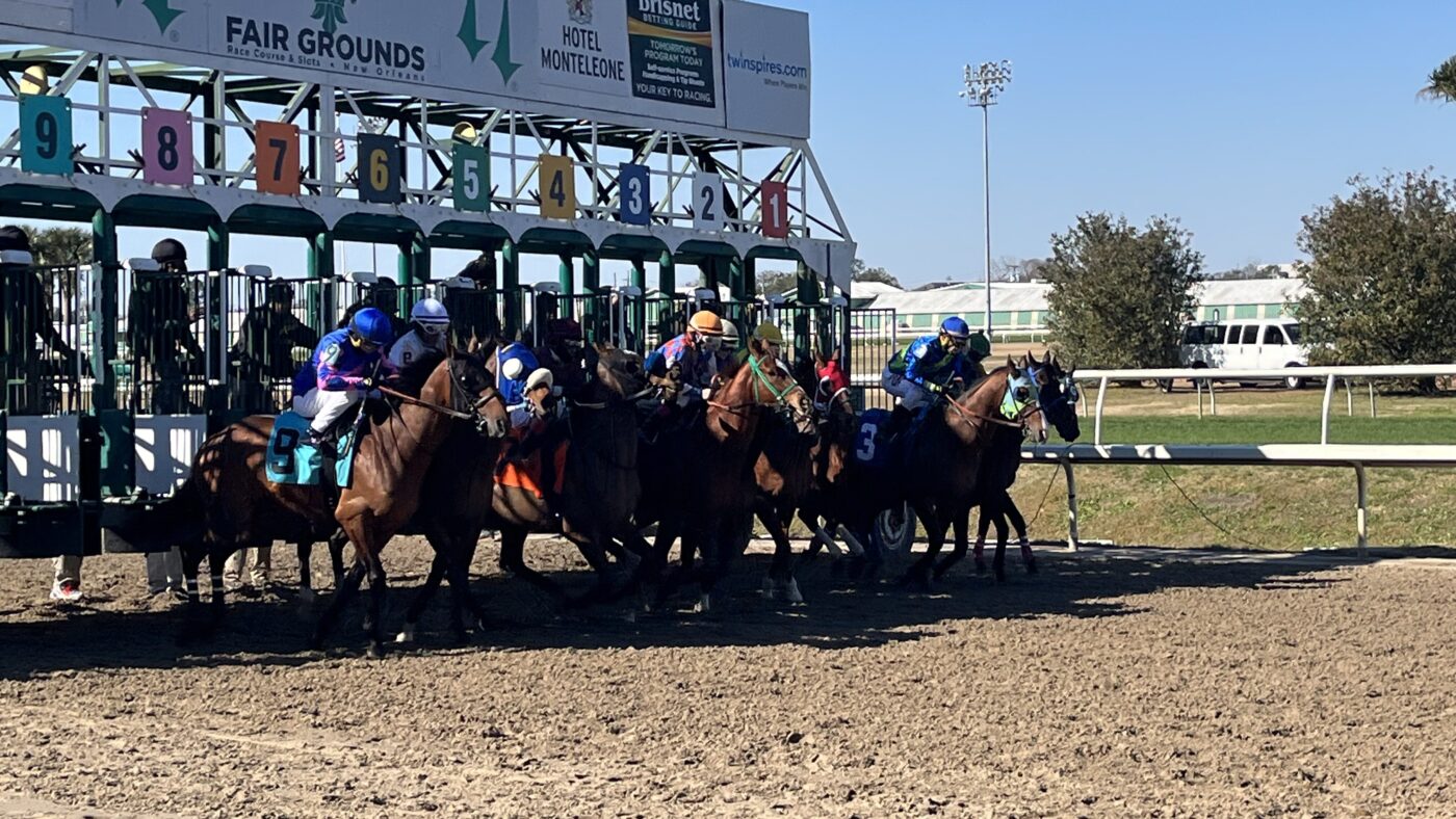 Racehorses breaking from the starting gate