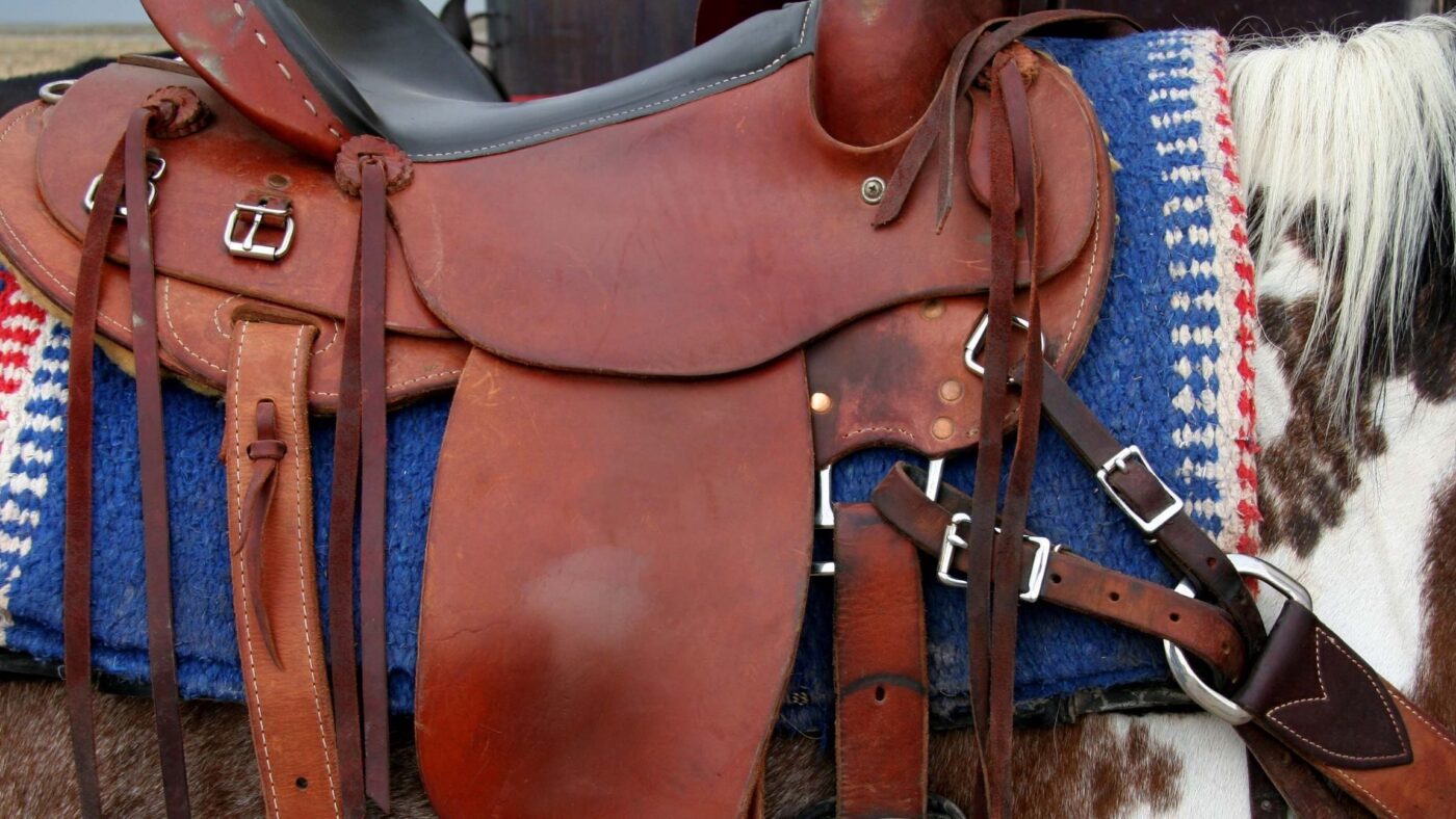 Treeless saddle on a saddle rack